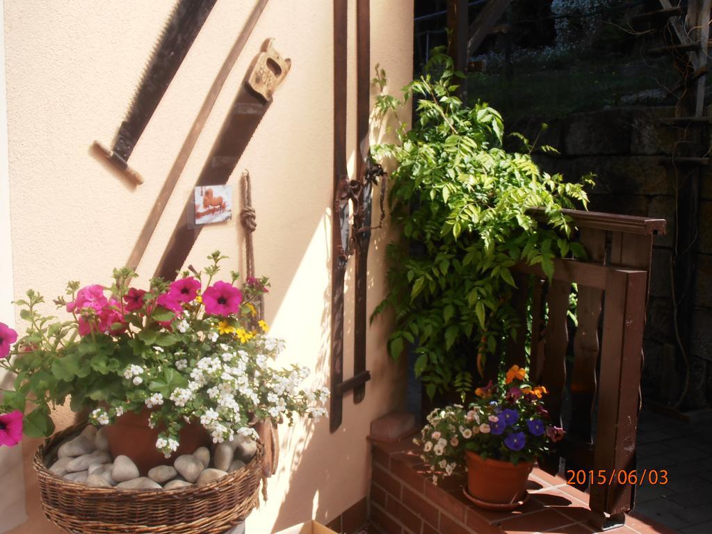 Ferienwohnungen "Gruendelrast" Prossen Extérieur photo