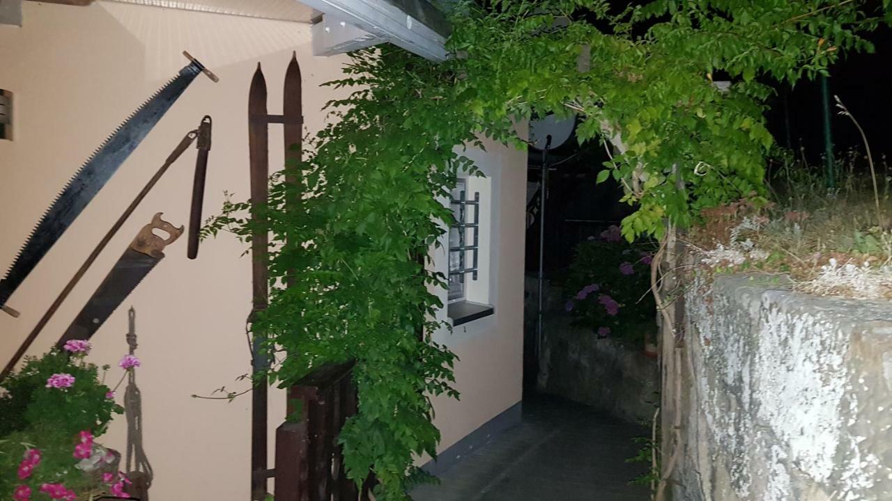 Ferienwohnungen "Gruendelrast" Prossen Extérieur photo